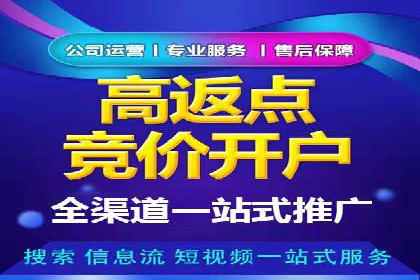 百度SEO推广公司案例精选：助力企业快速崛起